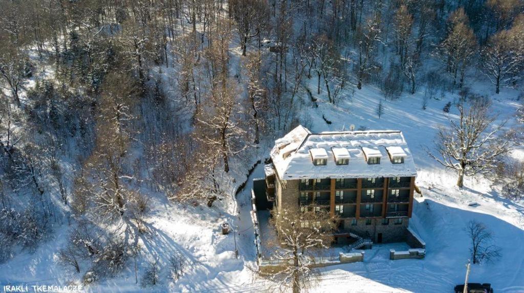 Genesis Bakuriani Hotel Екстериор снимка