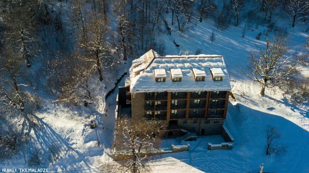 Genesis Bakuriani Hotel Екстериор снимка